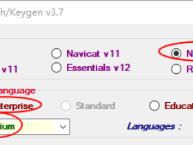 Navicat Premium 12.1.7破解方法