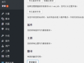WordPress无限更新翻译的解决方法