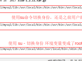 Linux下su和su-的区别