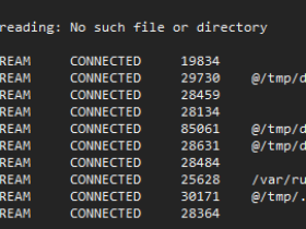 linux netstat命令用法