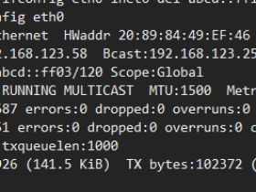 ifconfig命令的用法