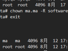 xshell终端主机名和用户名不显示颜色的解决方法
