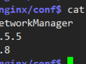 linux设置DNS服务器的几种方法