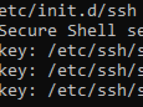 SSH报错Could not load host key的解决办法