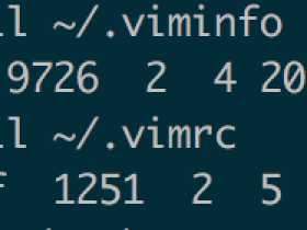 设置vim打开文件时光标在上次退出位置
