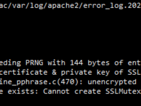 apache错误:cannot create SSLMutex with file '/var/run/ssl_mutex'