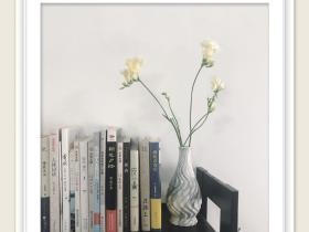 后花园又添新成员了