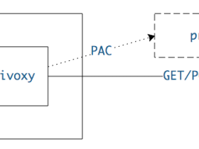 linux使用privoxy进行PAC代理