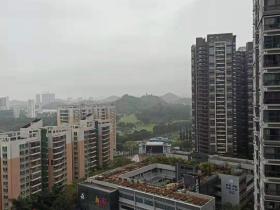 清明时节雨纷纷