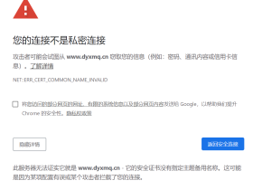 自签名证书报错ERR_CERT_COMMON_NAME_INVALID的解决方案