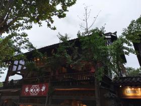 成都游:宽窄巷子+熊猫基地